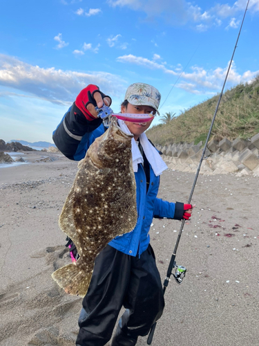 ヒラメの釣果