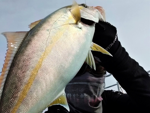 ネリゴの釣果