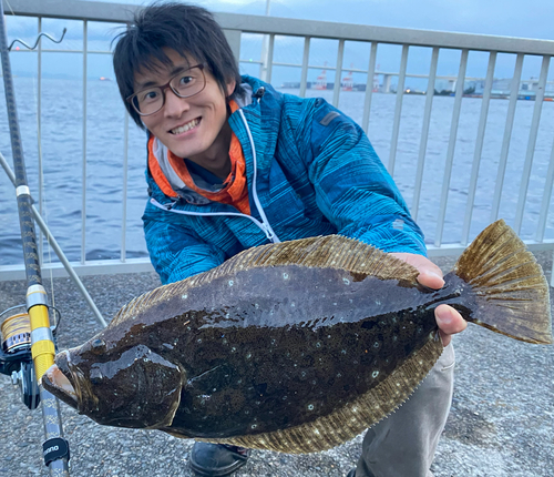 ヒラメの釣果