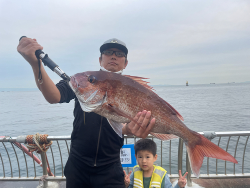 マダイの釣果