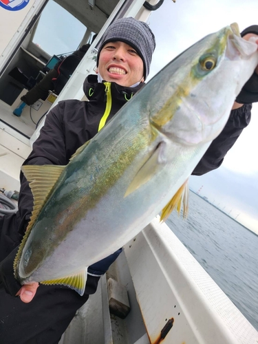 ワラサの釣果