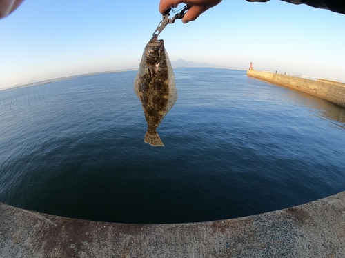 ソゲの釣果