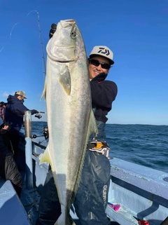 ブリの釣果