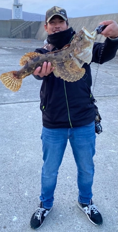 トウベツカジカの釣果