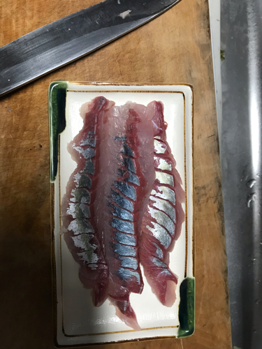 釣果