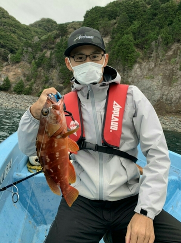 アカハタの釣果