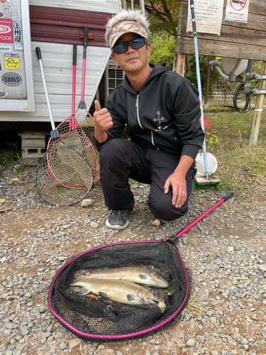 イワナの釣果