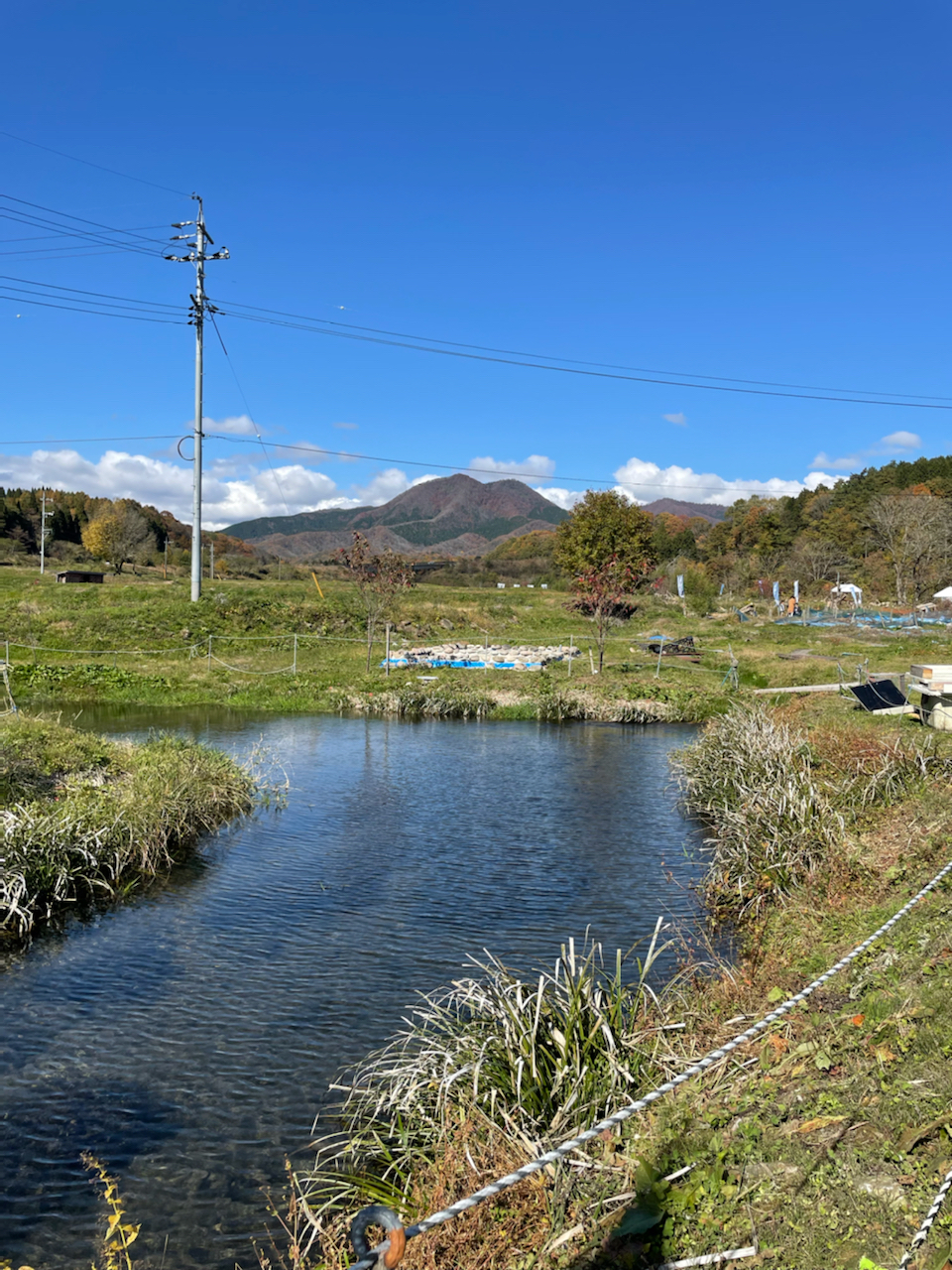 アマゴ