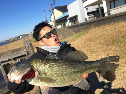 ブラックバスの釣果