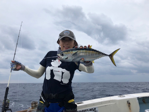 キハダマグロの釣果