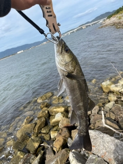釣果