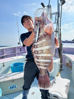 マハタの釣果