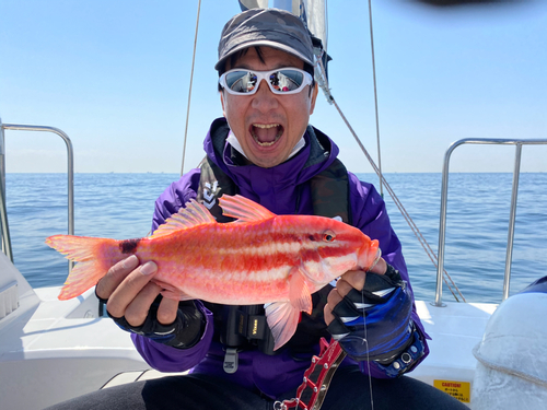 オキナヒメジの釣果