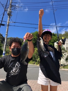 ティラピアの釣果