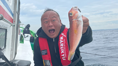 アマダイの釣果