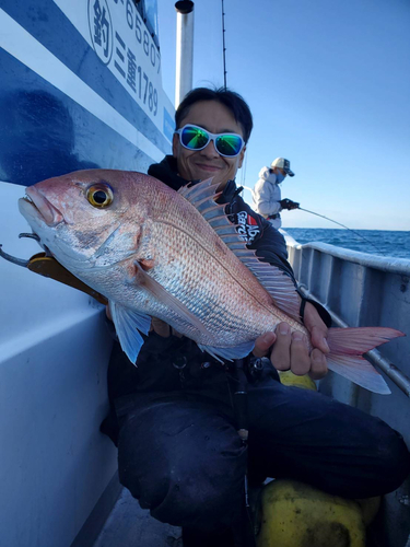 マダイの釣果