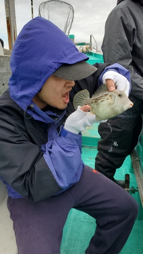 カワハギの釣果