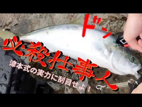 イナダの釣果