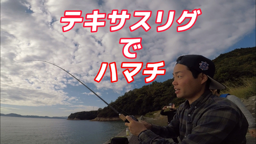 ハマチの釣果