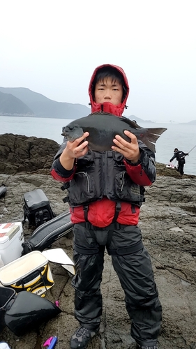 オナガグレの釣果