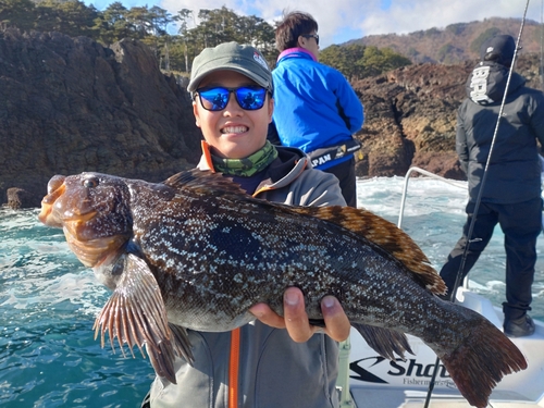 アイナメの釣果