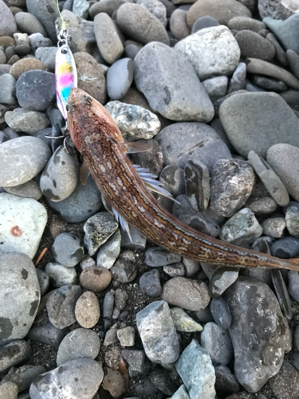 オキエソ