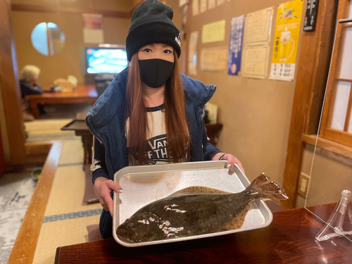 ヒラメの釣果