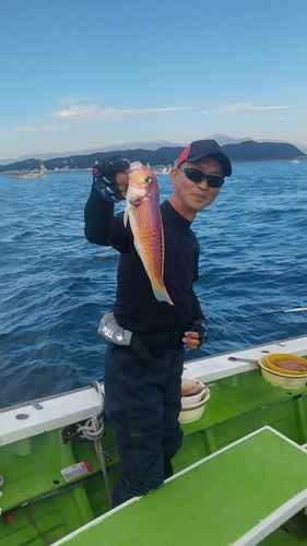 アマダイの釣果