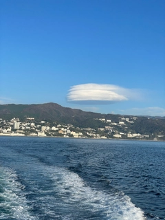 ウツボの釣果