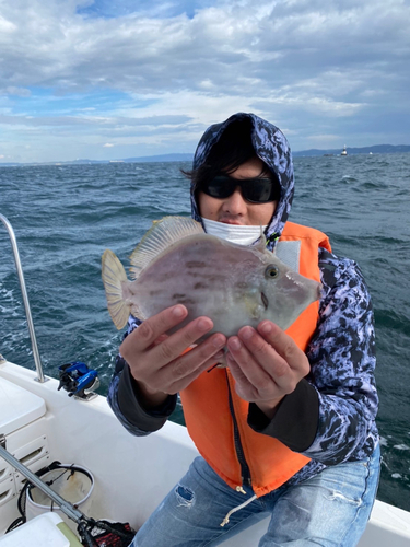 カワハギの釣果