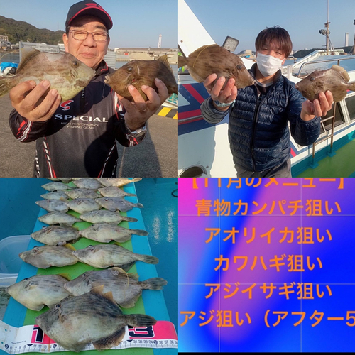 カワハギの釣果