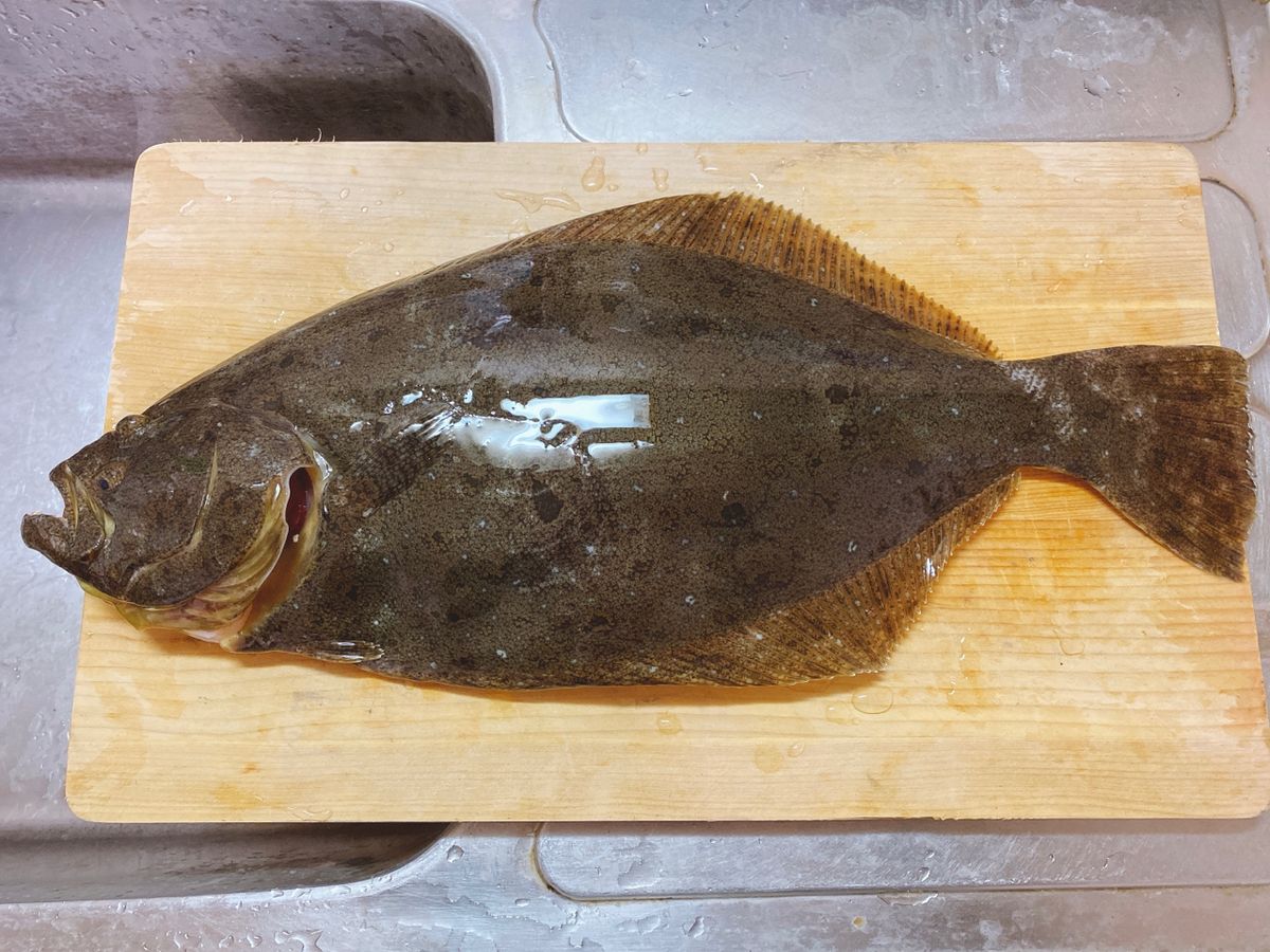 しょうきの沖釣りチャンネルさんの釣果 1枚目の画像