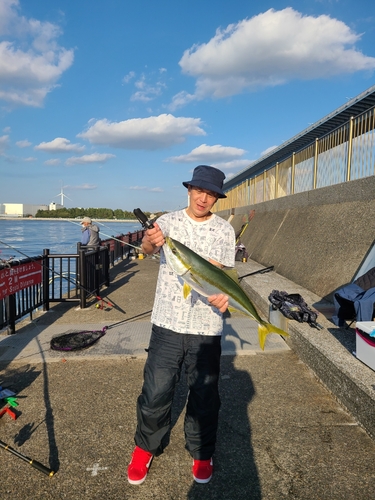 ワラサの釣果