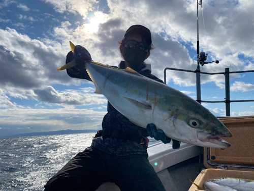 ブリの釣果