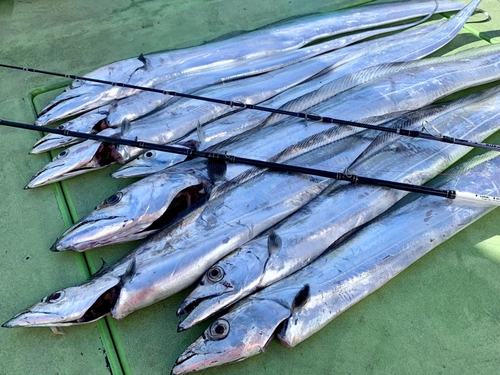 タチウオの釣果