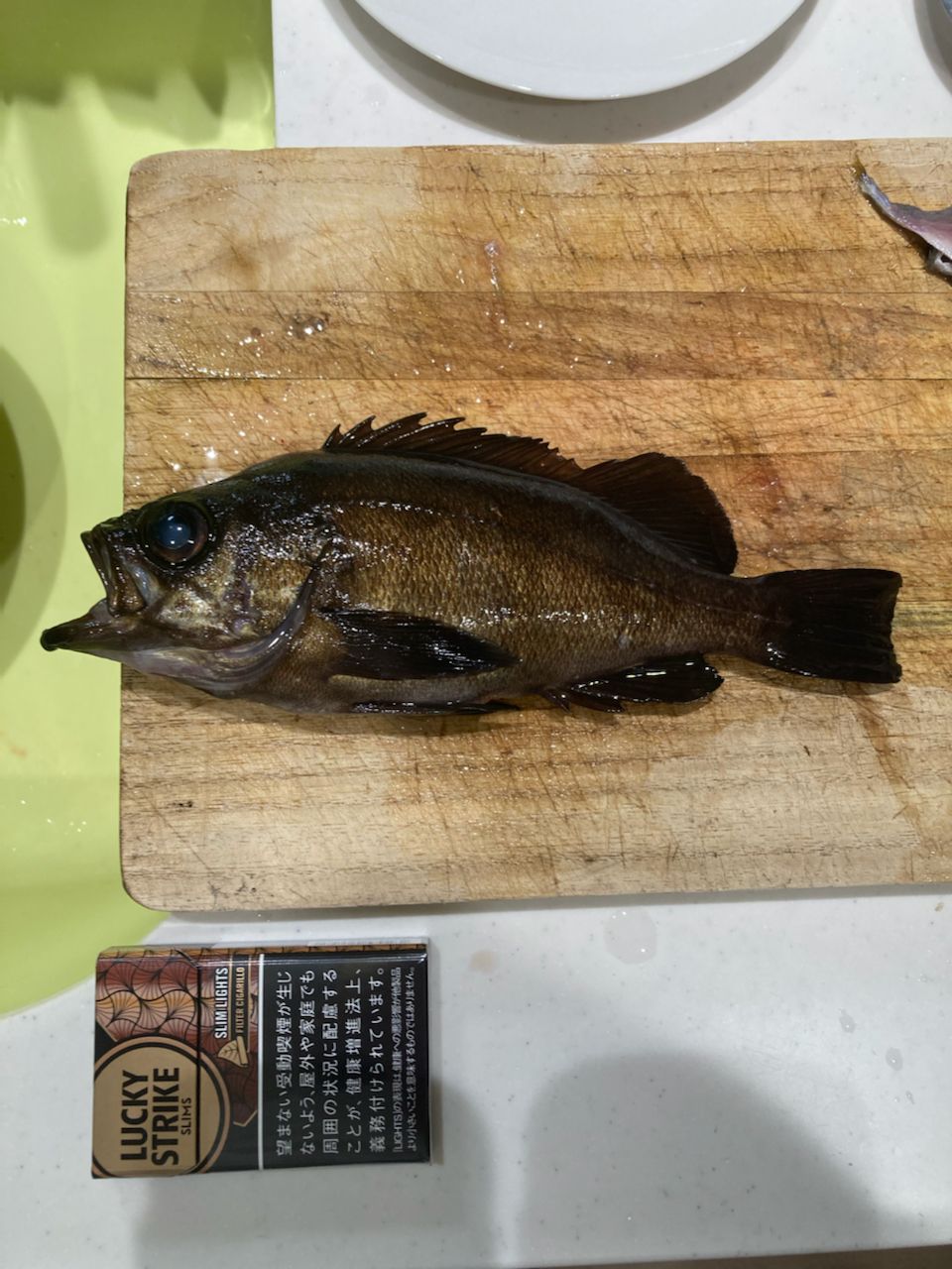 メバル
