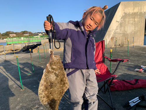 ヒラメの釣果