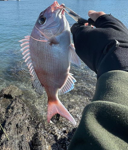 釣果