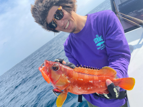 アカハタの釣果