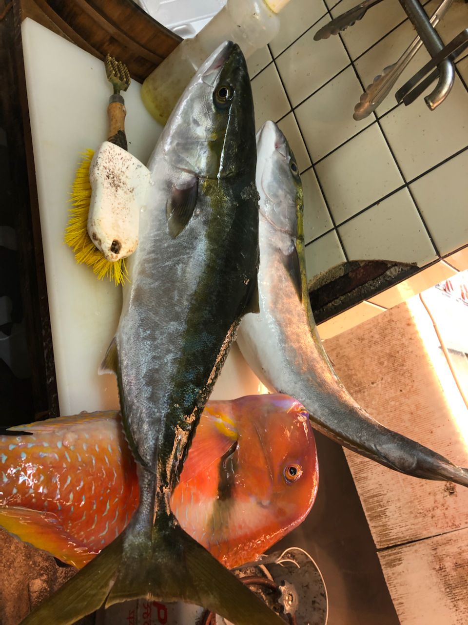 ワラサ