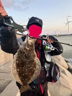 ヒラメの釣果
