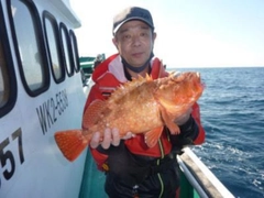 ウッカリカサゴの釣果