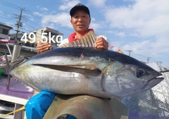 キハダマグロの釣果