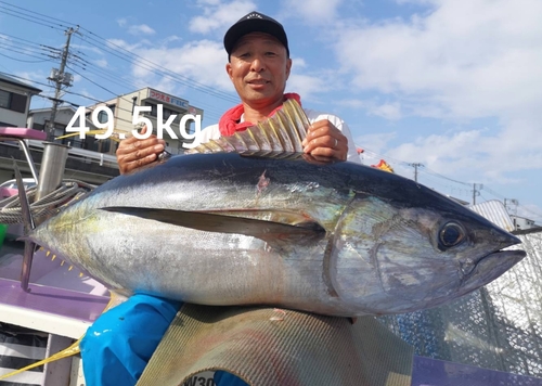 キハダマグロの釣果