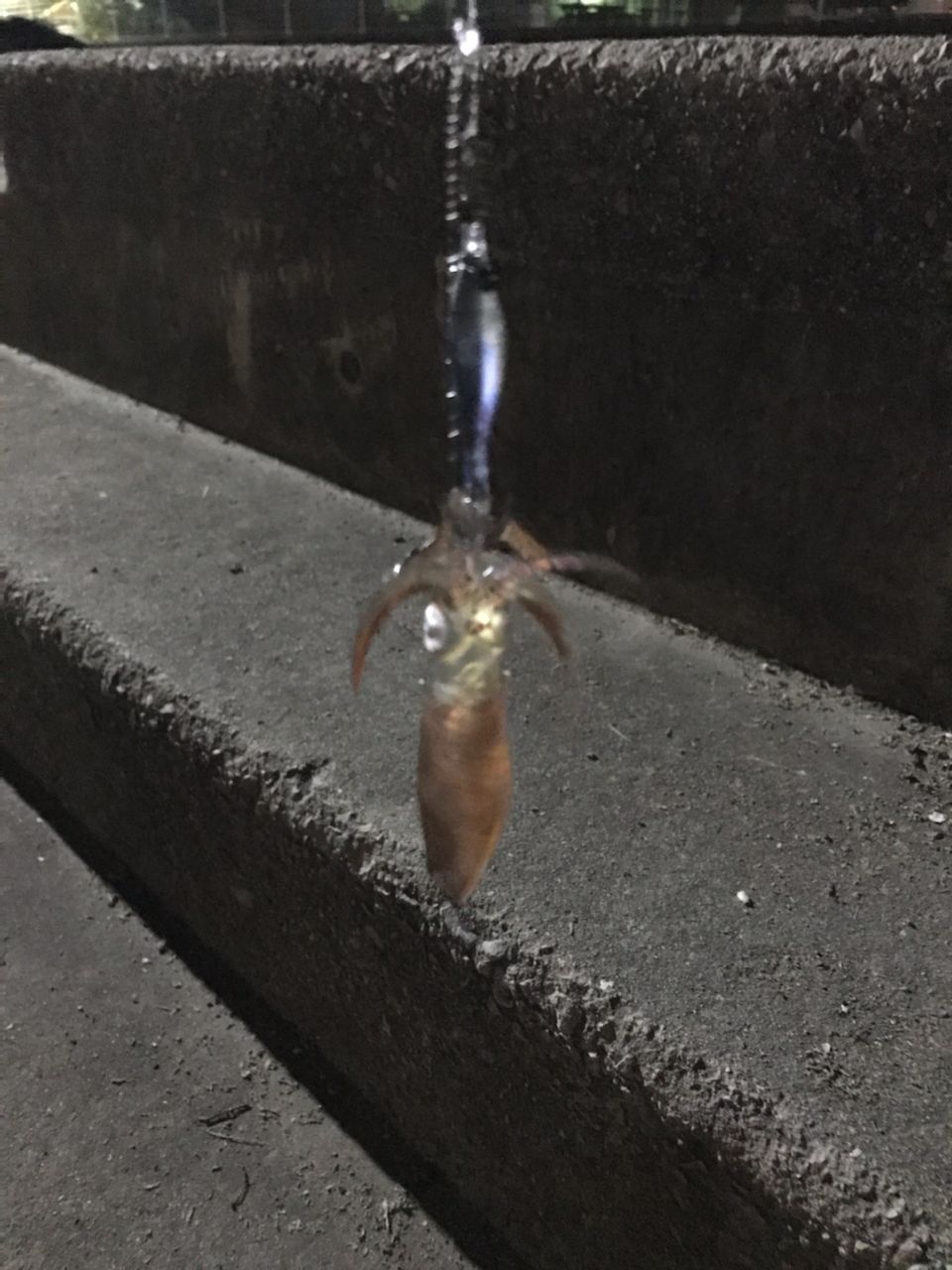 ヒイカ