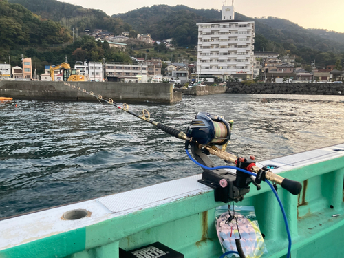 ワラサの釣果