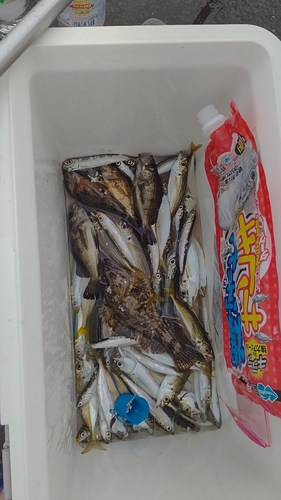 釣果