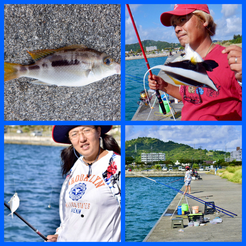 チョウチョウウオの釣果