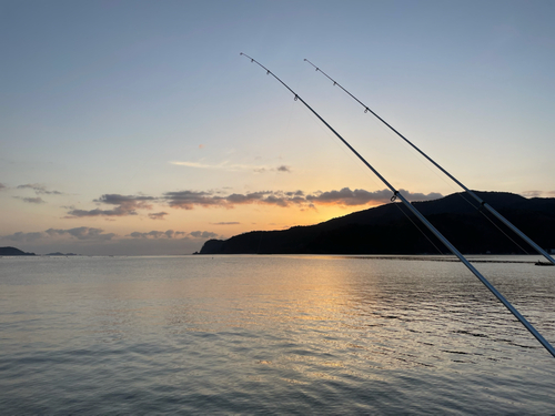 アイナメの釣果