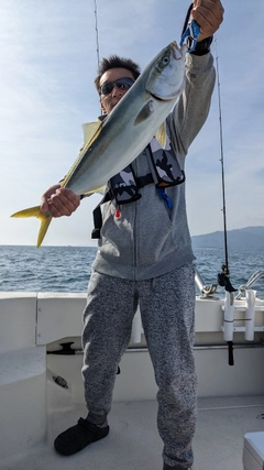 メジロの釣果